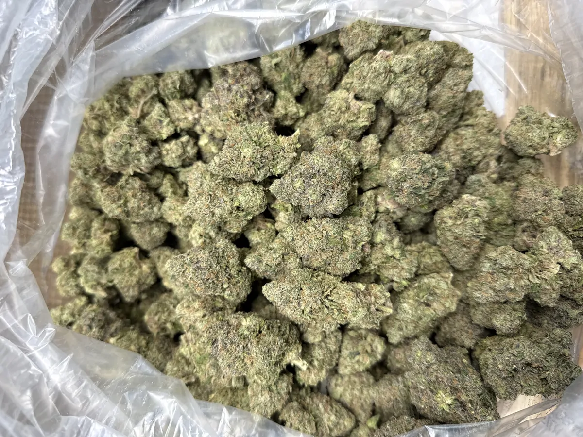 Cinderella 99 Flower